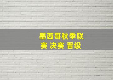 墨西哥秋季联赛 决赛 晋级